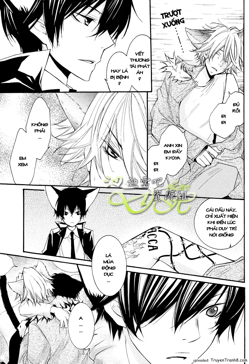 KHR Doujinshi - Il Lupo E L'agnello 2 - KHR Doujinshi - Il Lupo E L'agnello 2 trang 11