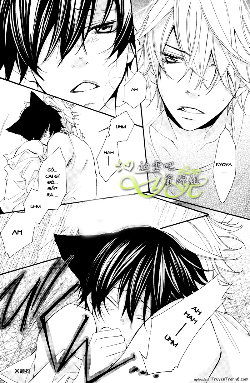 KHR Doujinshi - Il Lupo E L'agnello 2 - KHR Doujinshi - Il Lupo E L'agnello 2 trang 17