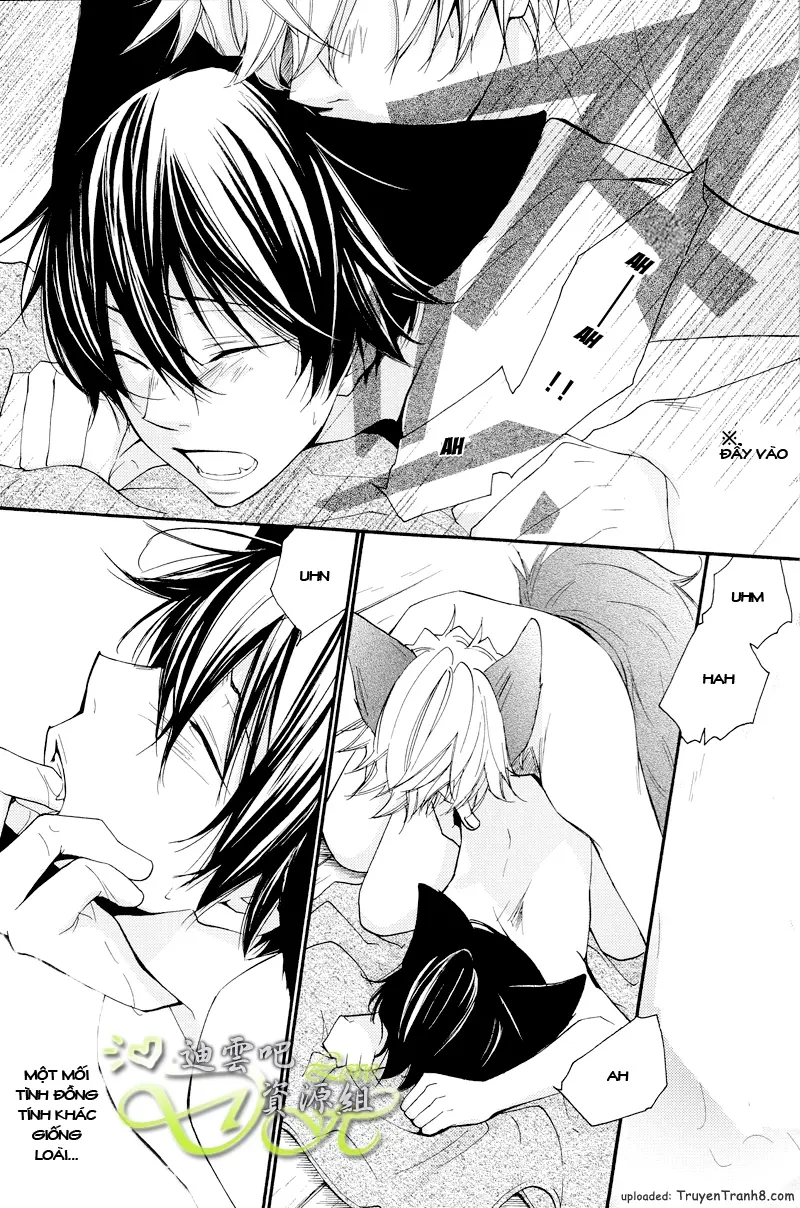 KHR Doujinshi - Il Lupo E L'agnello 2 - KHR Doujinshi - Il Lupo E L'agnello 2 trang 21