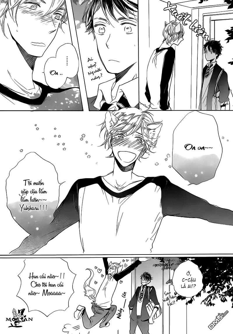 Neko No Yomeiri - Neko No Yomeiri trang 4