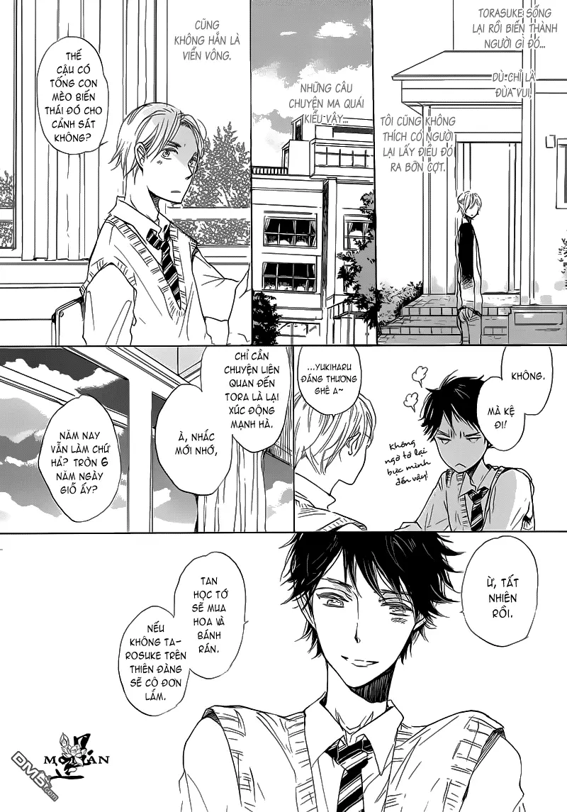 Neko No Yomeiri - Neko No Yomeiri trang 7