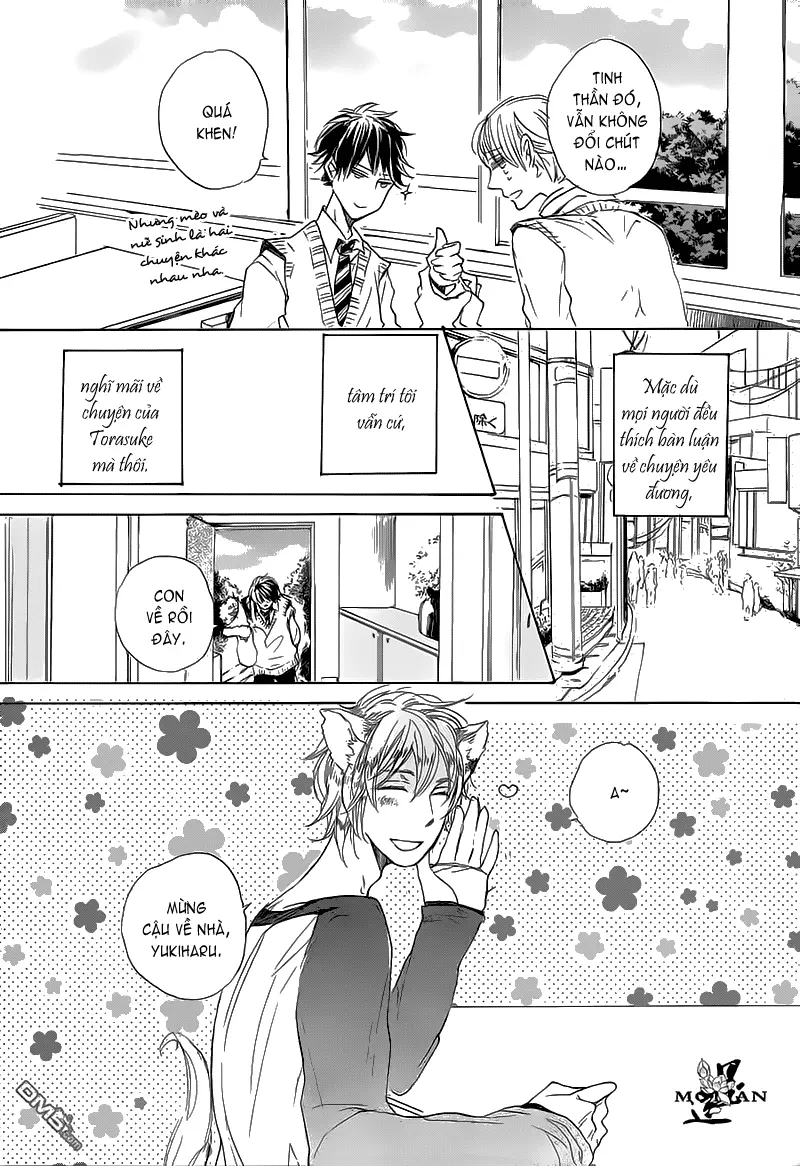 Neko No Yomeiri - Neko No Yomeiri trang 8