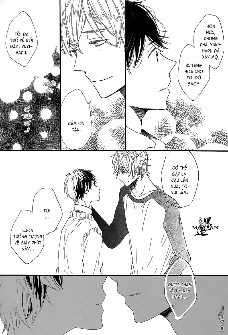 Neko No Yomeiri - Neko No Yomeiri trang 11