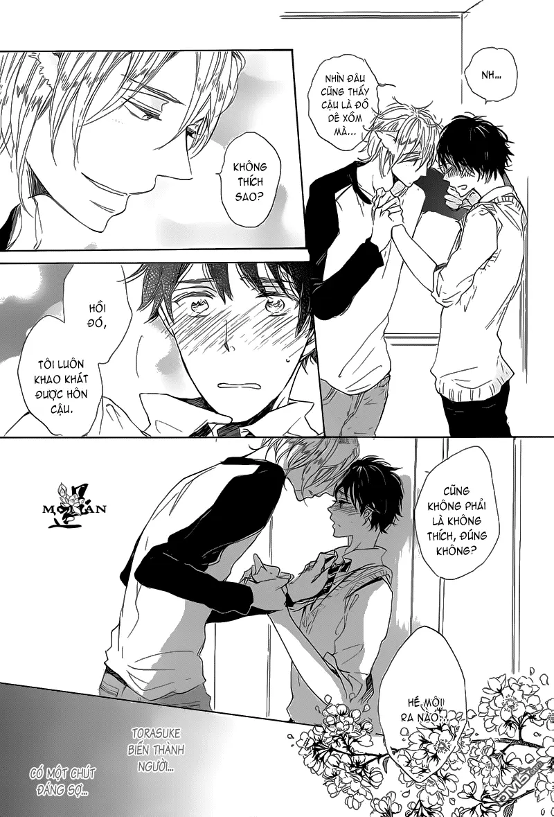 Neko No Yomeiri - Neko No Yomeiri trang 16
