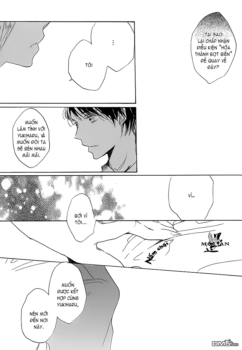 Neko No Yomeiri - Neko No Yomeiri trang 21
