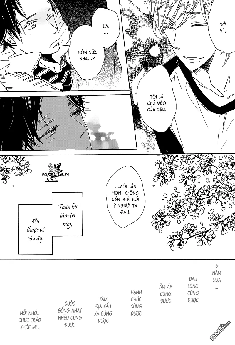Neko No Yomeiri - Neko No Yomeiri trang 25