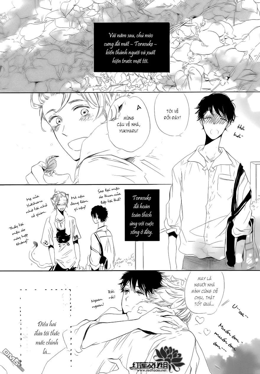 Neko No Yomeiri - Neko No Yomeiri trang 28