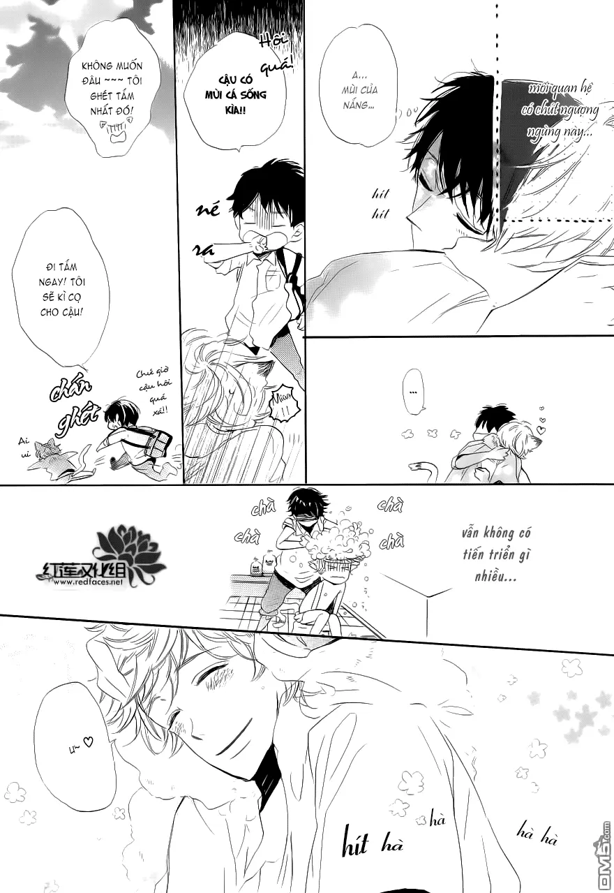 Neko No Yomeiri - Neko No Yomeiri trang 29
