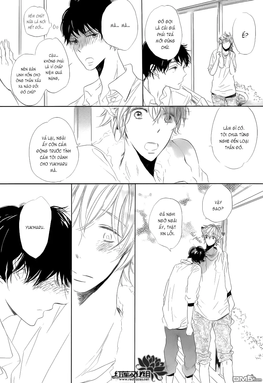 Neko No Yomeiri - Neko No Yomeiri trang 31
