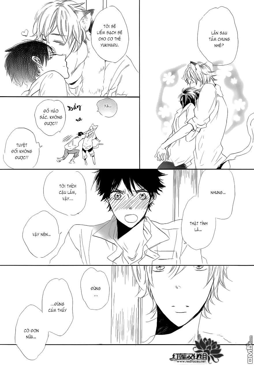 Neko No Yomeiri - Neko No Yomeiri trang 32