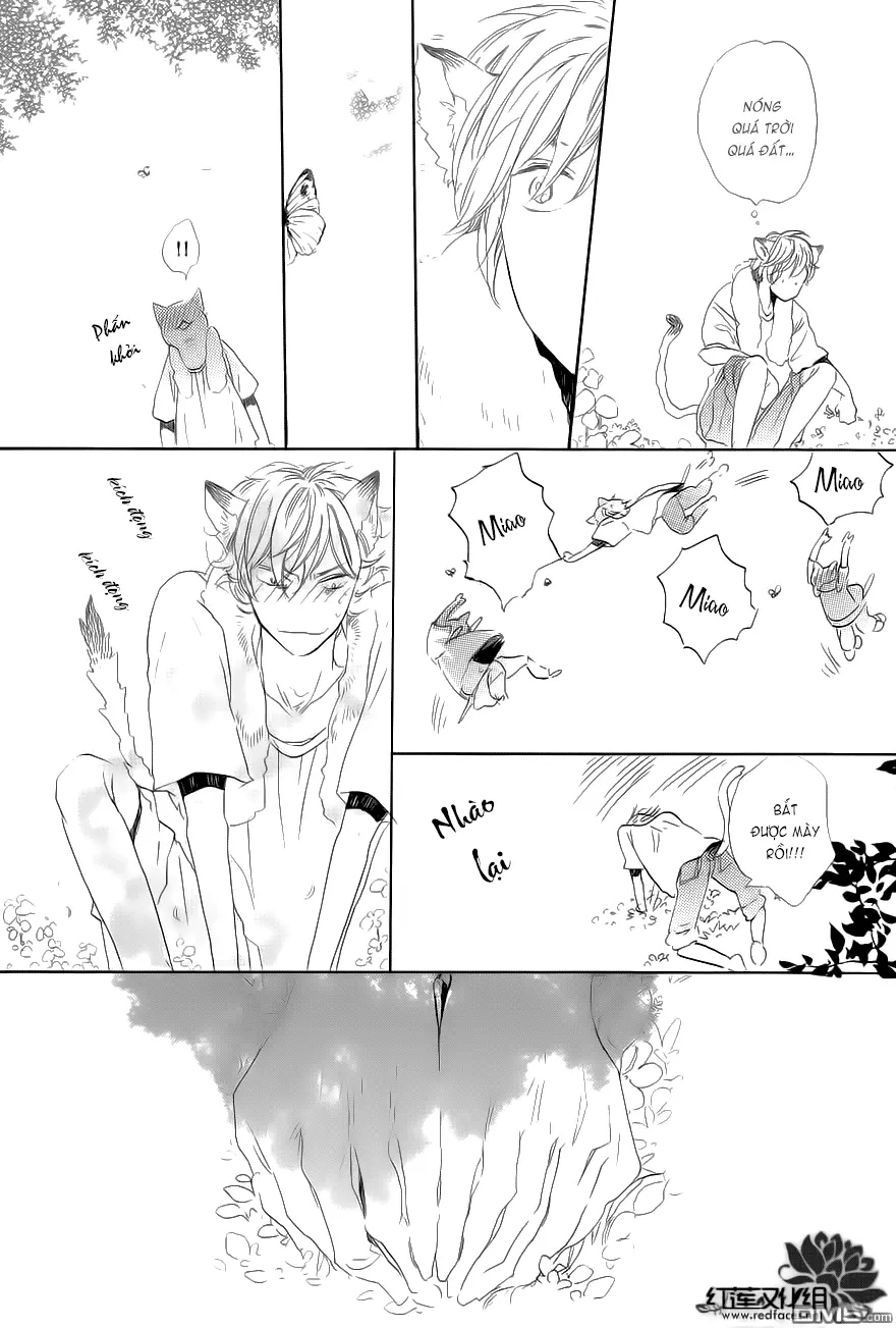 Neko No Yomeiri - Neko No Yomeiri trang 34