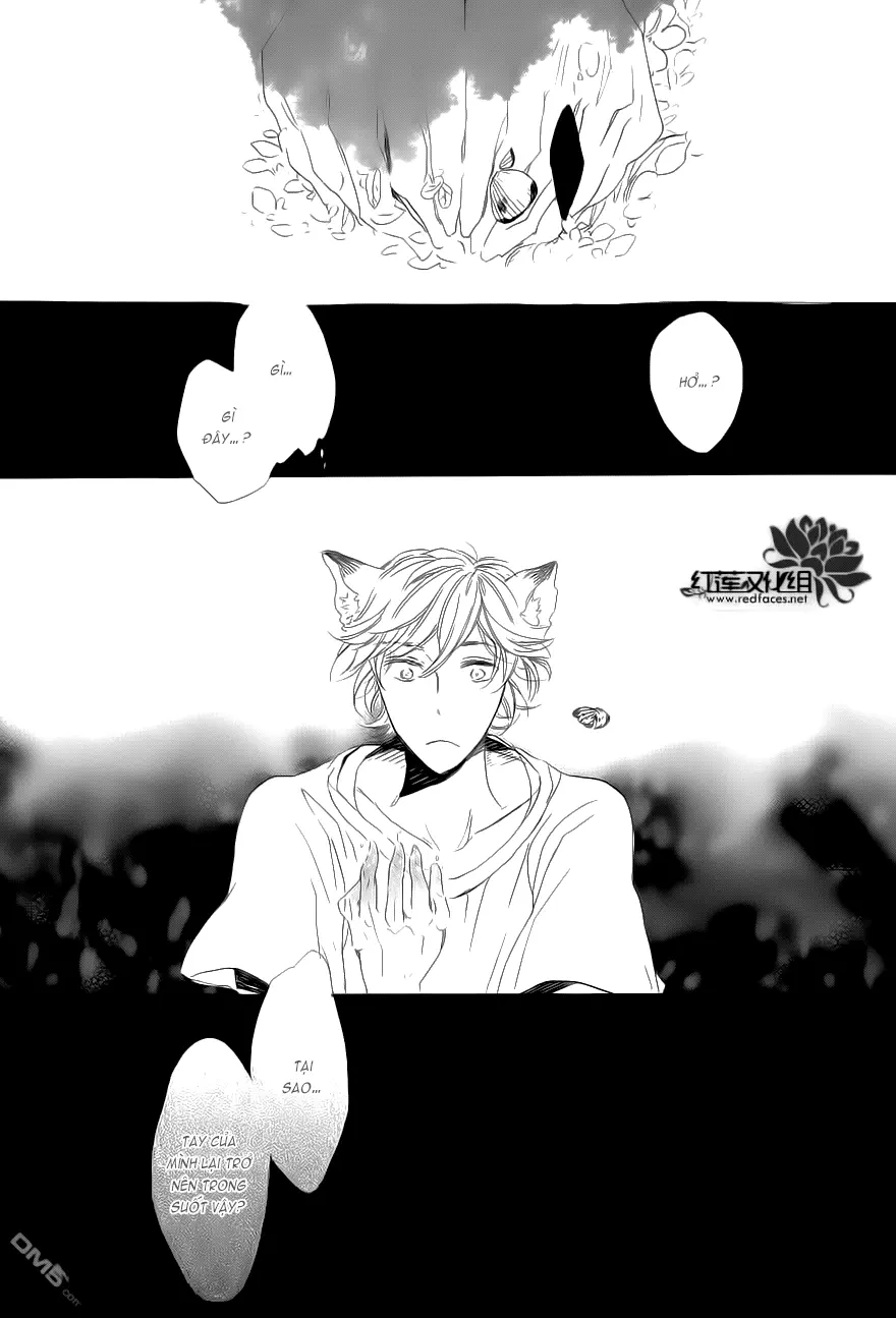 Neko No Yomeiri - Neko No Yomeiri trang 35