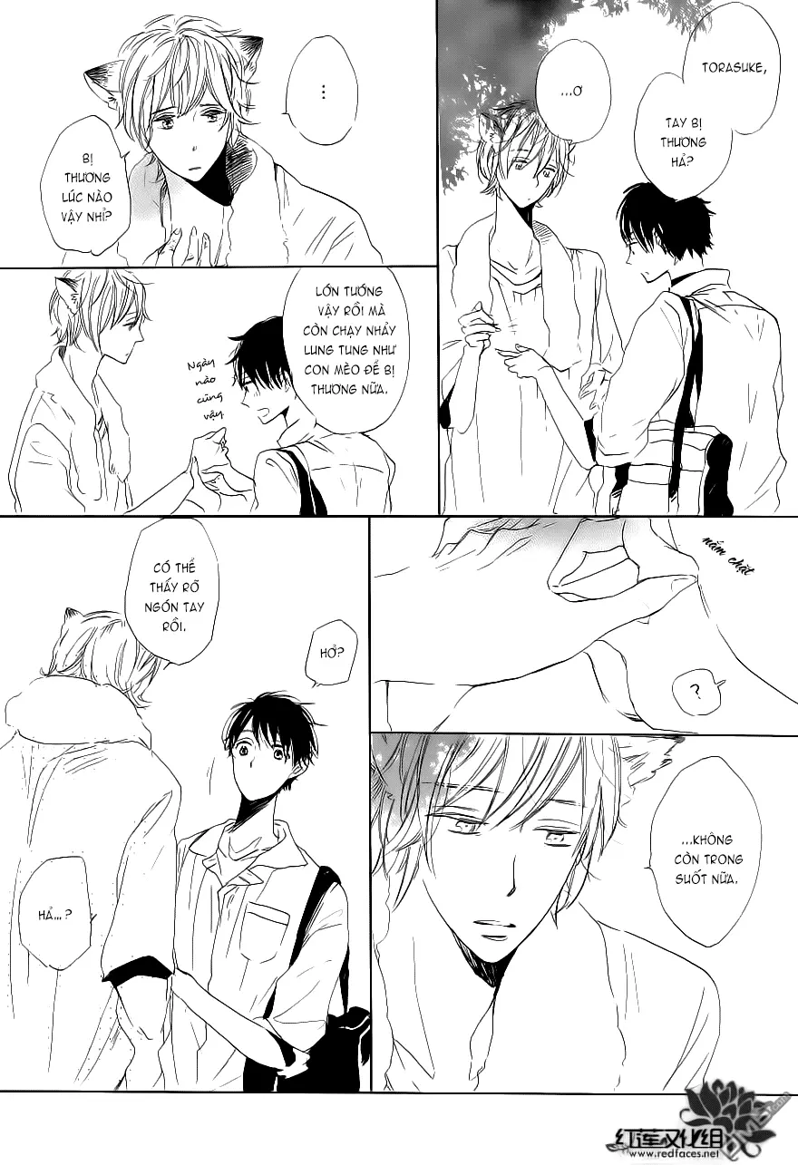 Neko No Yomeiri - Neko No Yomeiri trang 37