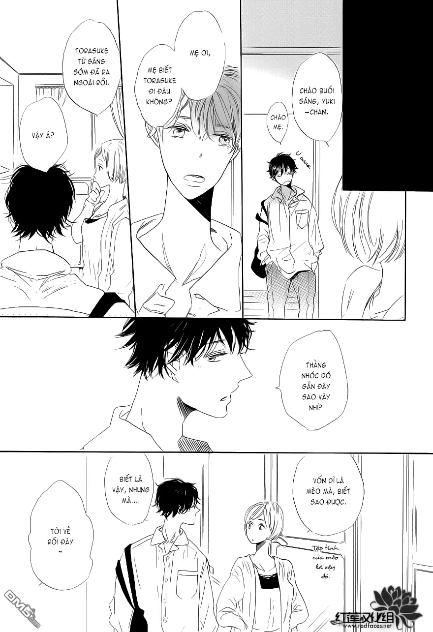 Neko No Yomeiri - Neko No Yomeiri trang 42