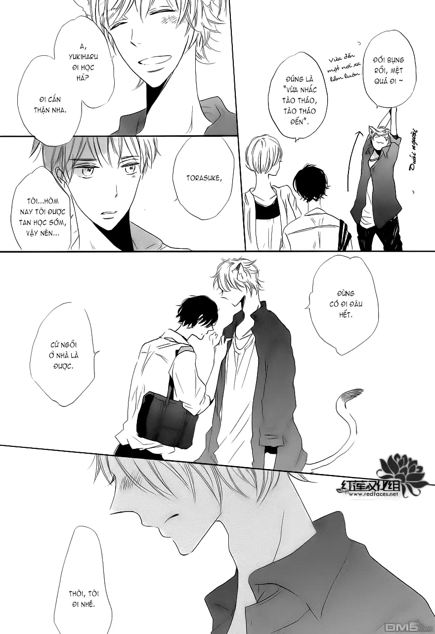 Neko No Yomeiri - Neko No Yomeiri trang 43