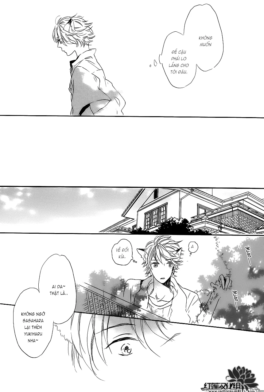 Neko No Yomeiri - Neko No Yomeiri trang 44