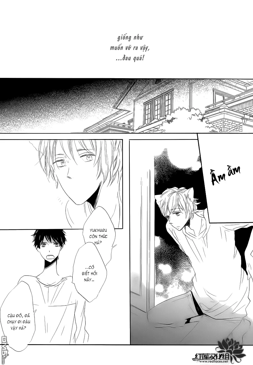 Neko No Yomeiri - Neko No Yomeiri trang 46