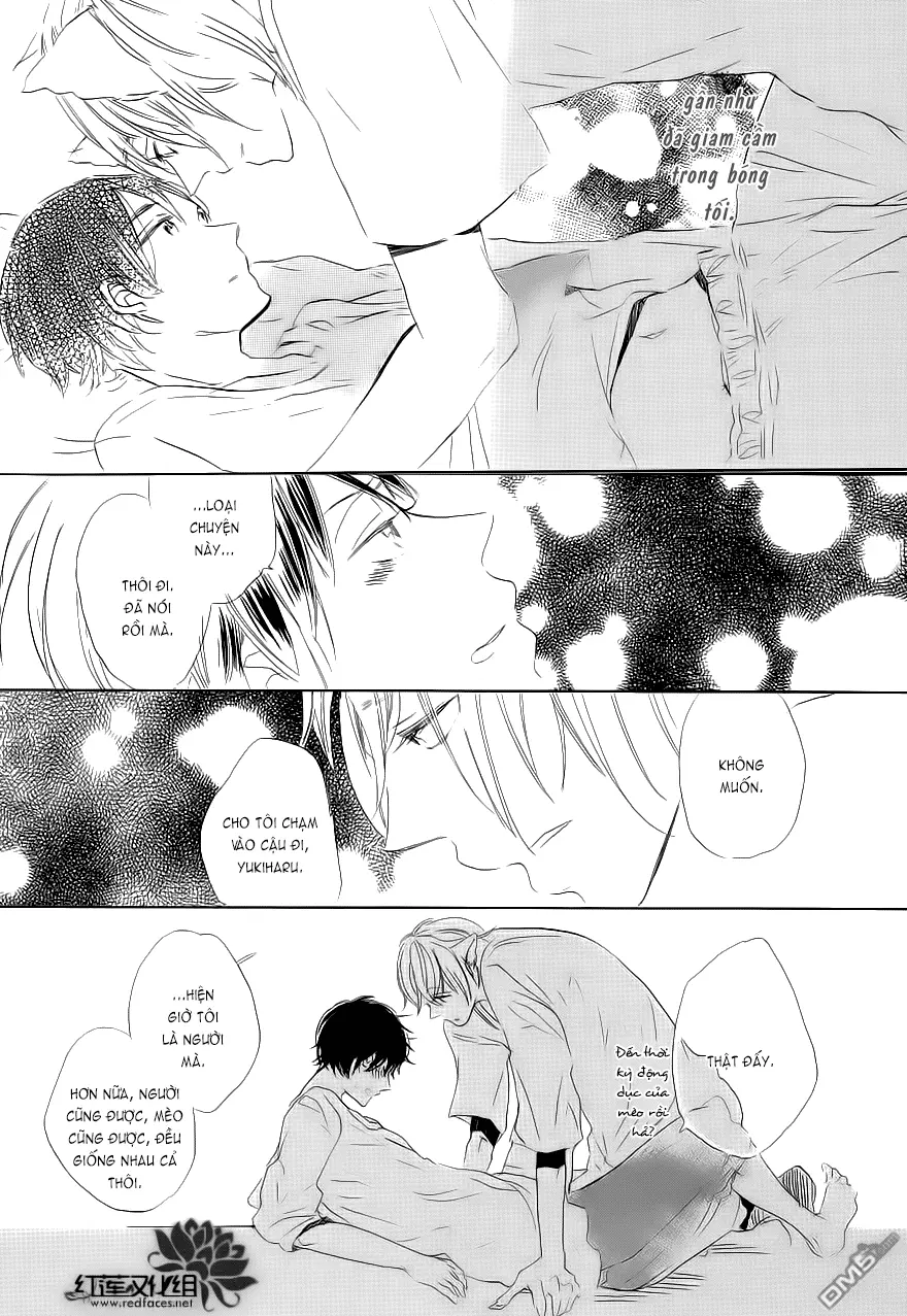 Neko No Yomeiri - Neko No Yomeiri trang 48