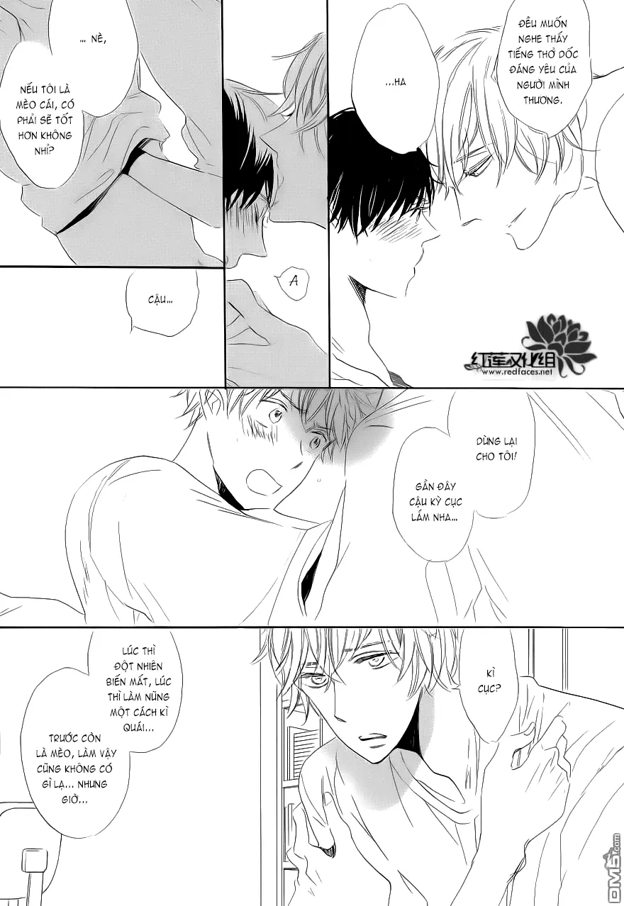 Neko No Yomeiri - Neko No Yomeiri trang 49
