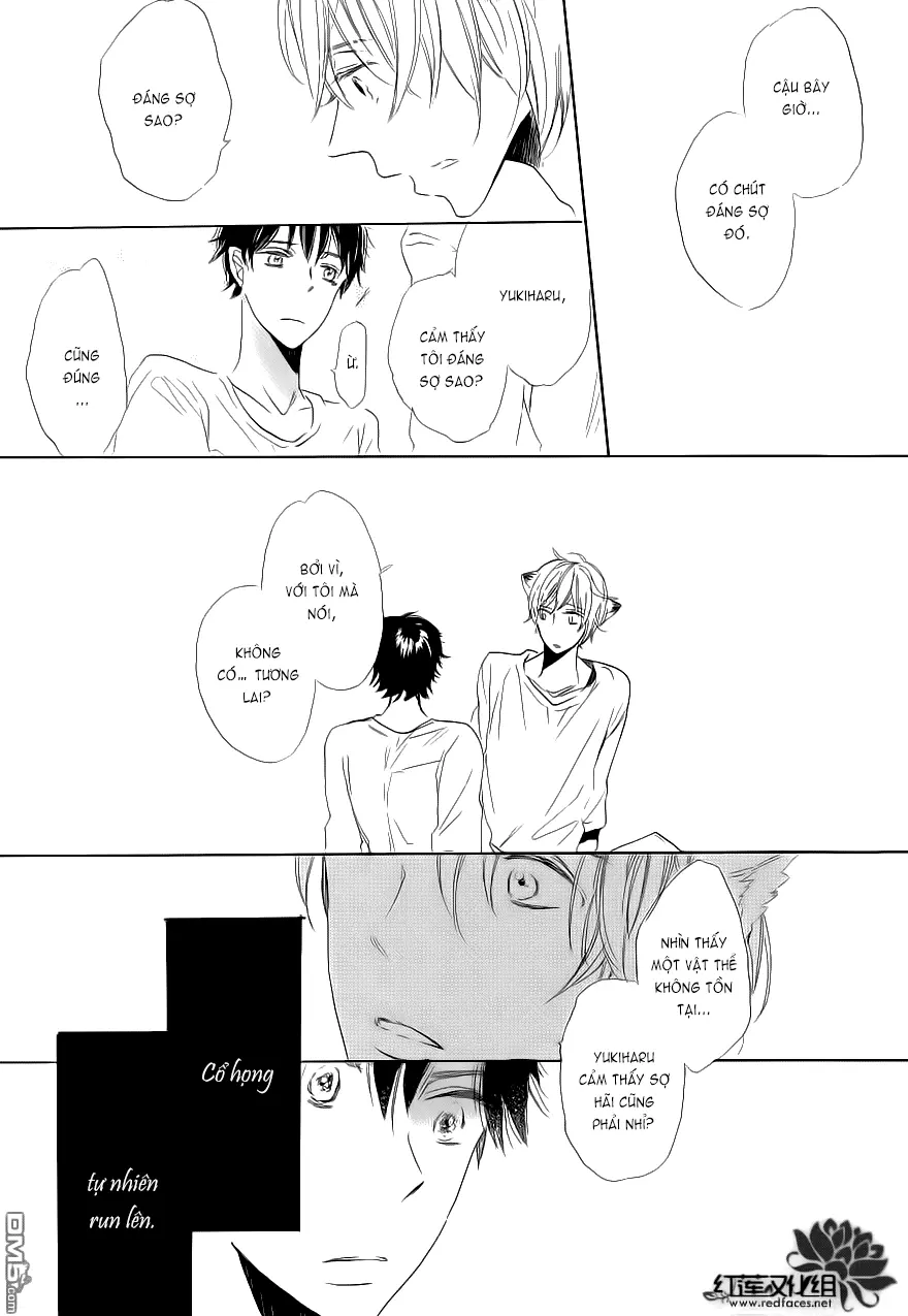 Neko No Yomeiri - Neko No Yomeiri trang 50