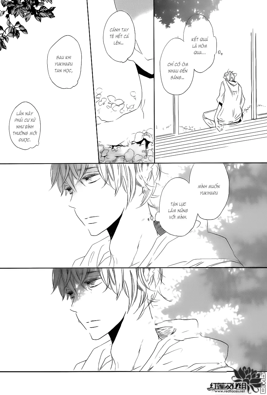 Neko No Yomeiri - Neko No Yomeiri trang 52