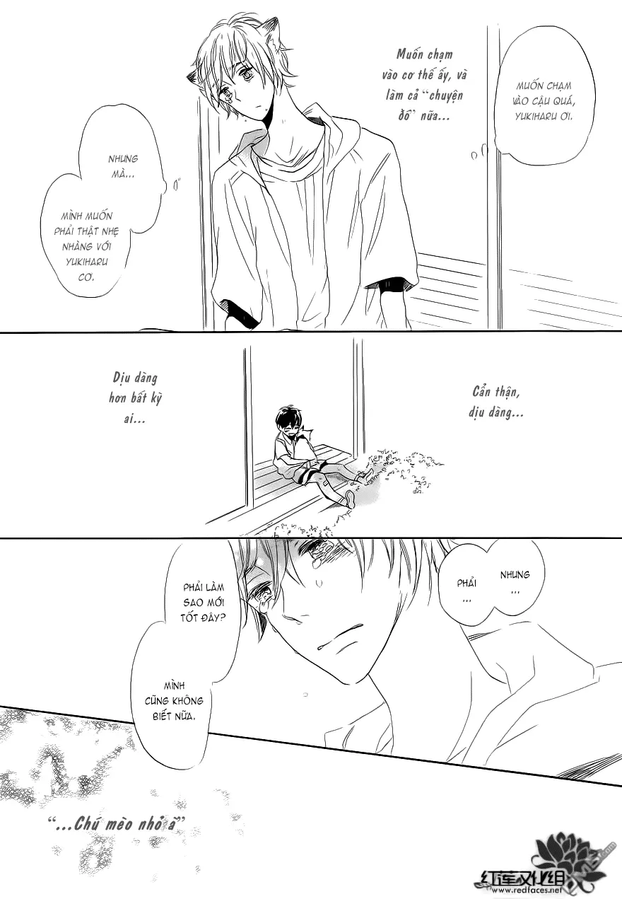 Neko No Yomeiri - Neko No Yomeiri trang 53