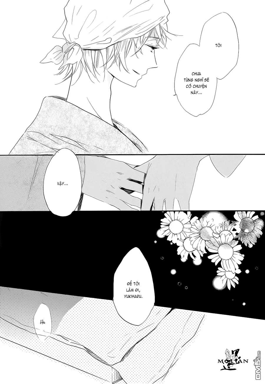 Neko No Yomeiri - Neko No Yomeiri trang 67