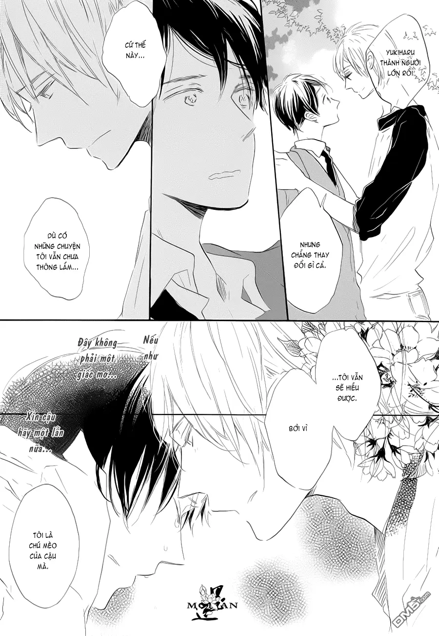 Neko No Yomeiri - Neko No Yomeiri trang 84