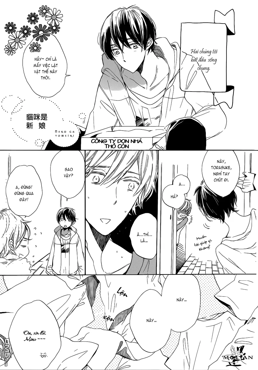 Neko No Yomeiri - Neko No Yomeiri trang 86
