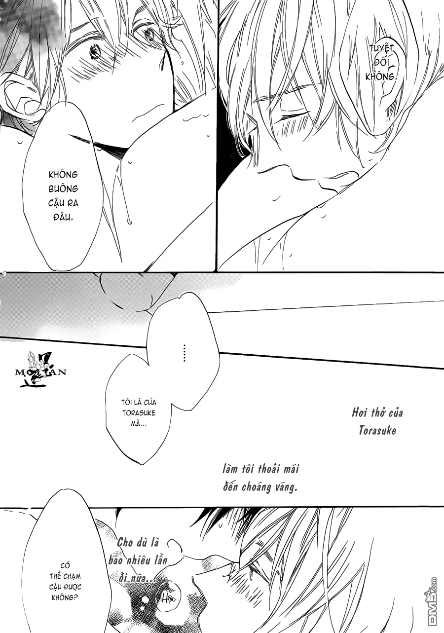 Neko No Yomeiri - Neko No Yomeiri trang 95