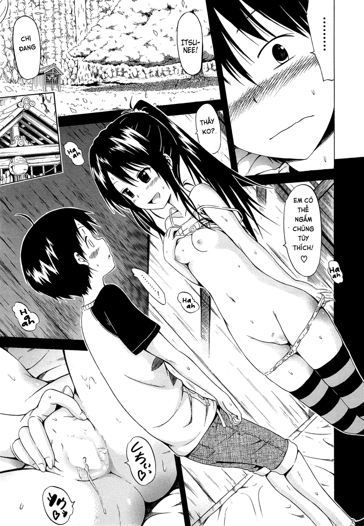 Natsumitsu x Harem ♡ - Natsumitsu x Harem ♡ trang 66