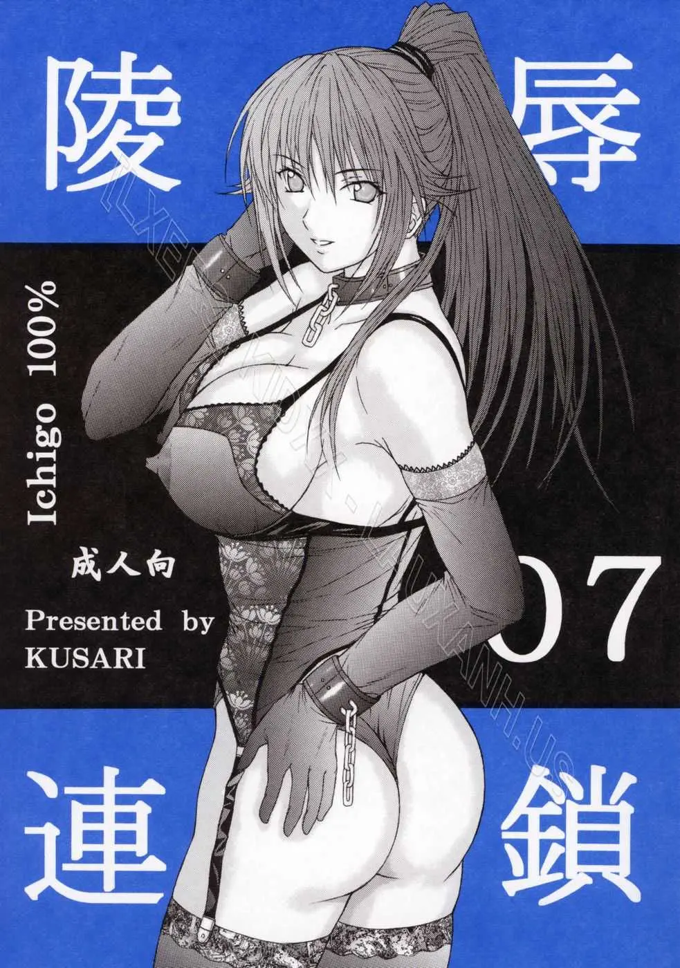 sc33