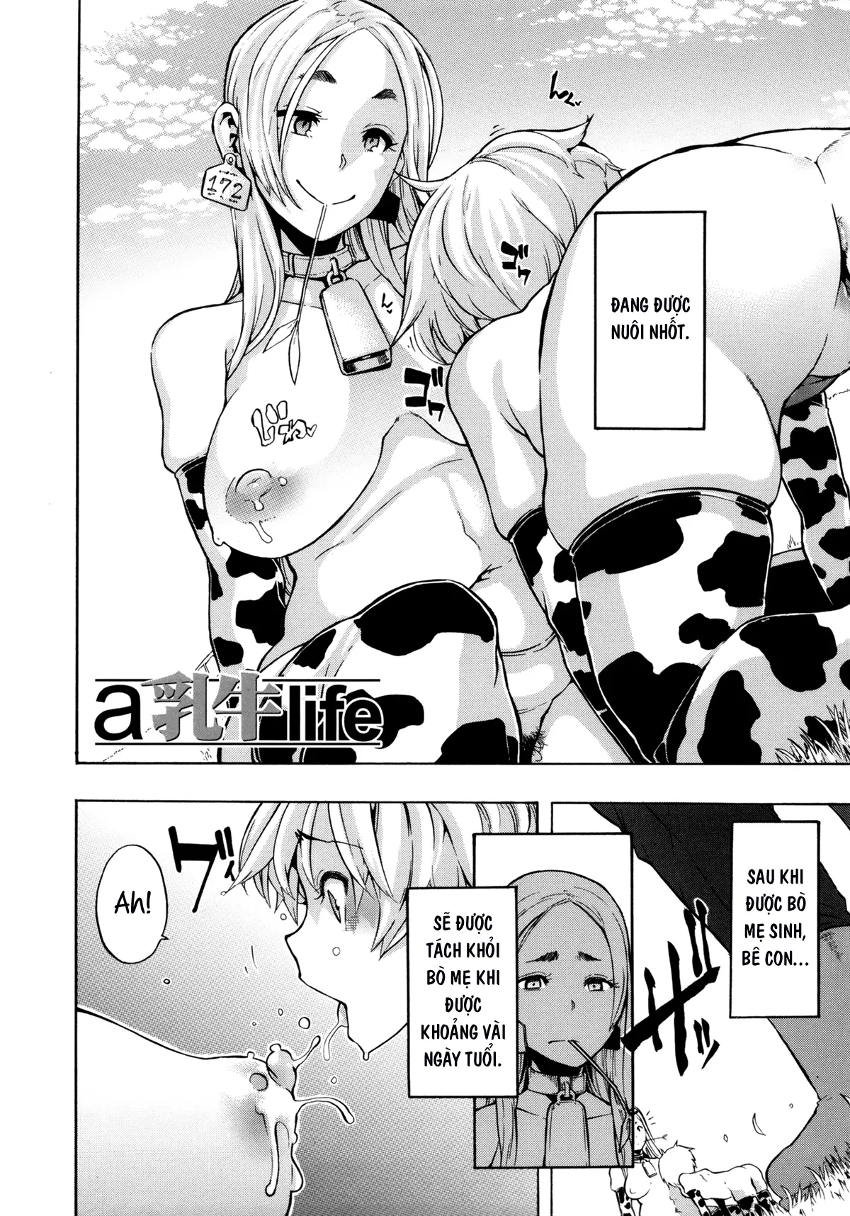 a Nyuugyuu life - a Nyuugyuu life trang 2