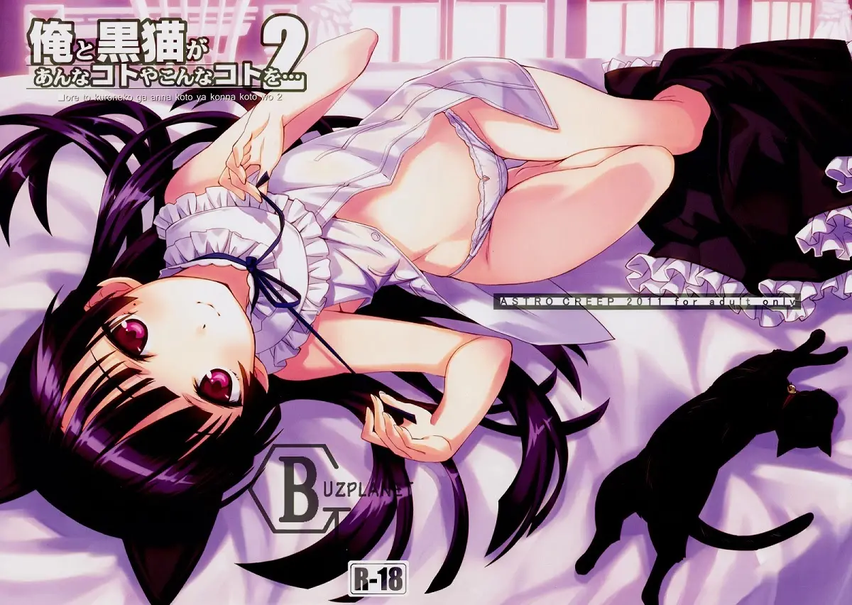 Ore to Kuroneko ga Anna Koto ya Konna Koto wo… 2