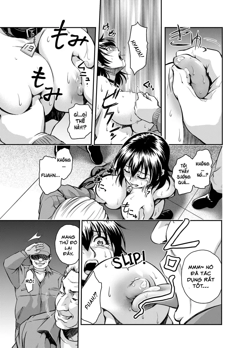 Innyuu Koubou Ichiban Shibori ~Kachiku no You ni~ - Innyuu Koubou Ichiban Shibori ~Kachiku no You ni~ trang 11