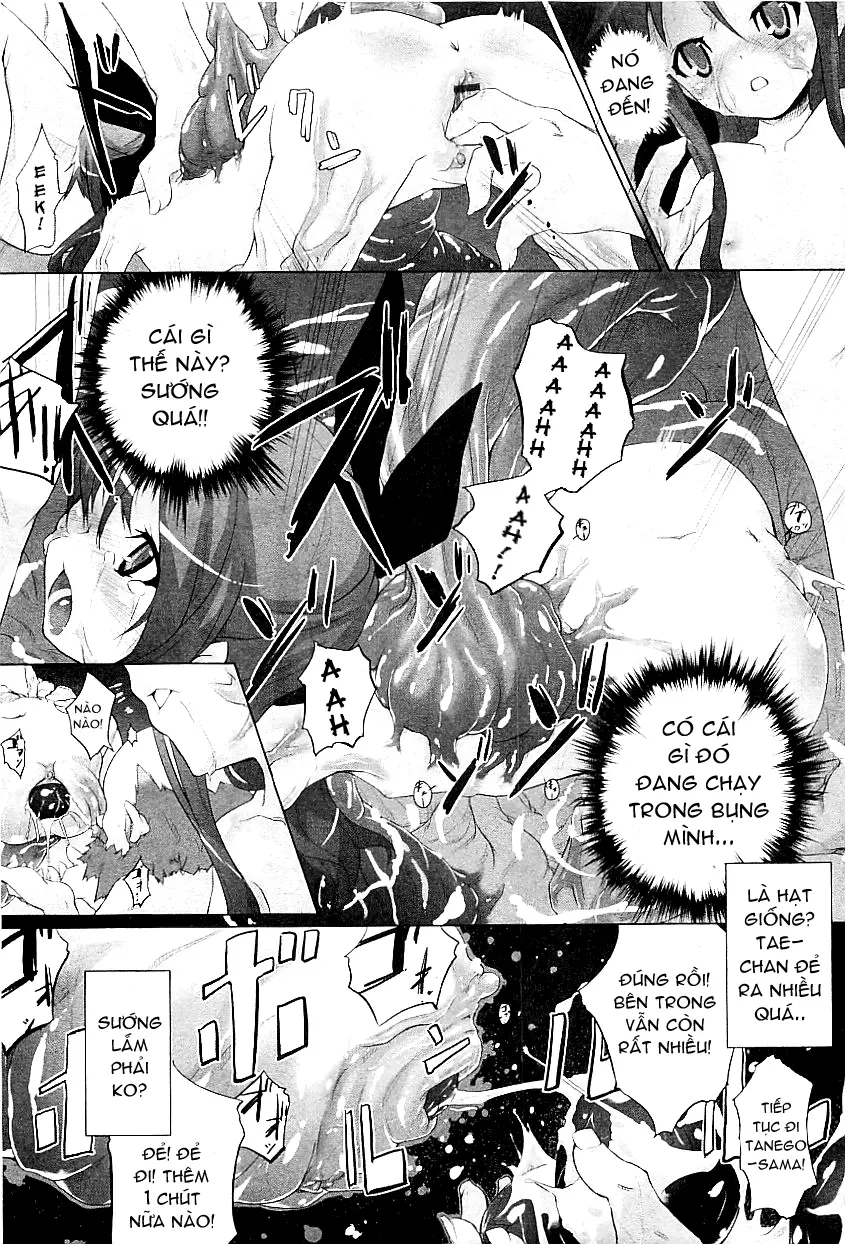 Tanego-sama - Tanego-sama trang 9