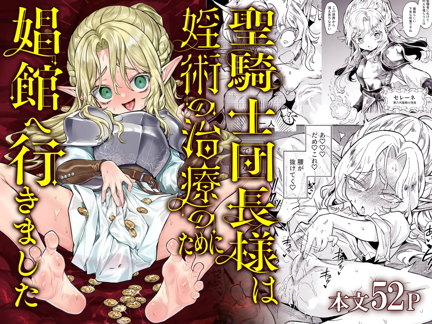 Seikishi Danchou-sama wa Injutsu no Chiryou no Tame ni Shoukan e Ikimashita