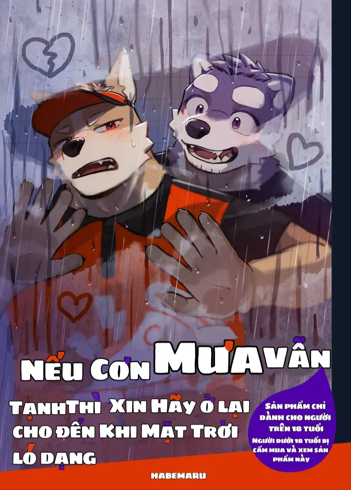 Nếu cơn mưa vẫn chưa tạnh thì xin hãy ở lại cho đến khi mặt trời ló dạng