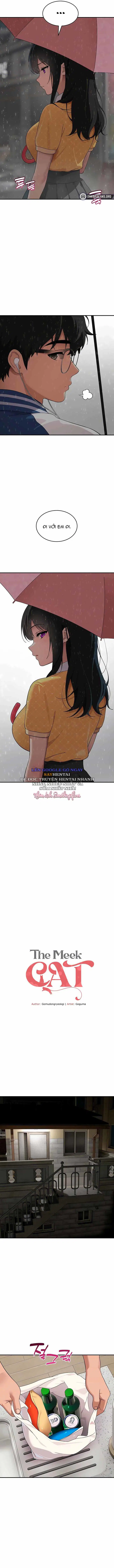 Góc Khuất Của Chú Mèo Ngoan - Chapter 16 trang 2